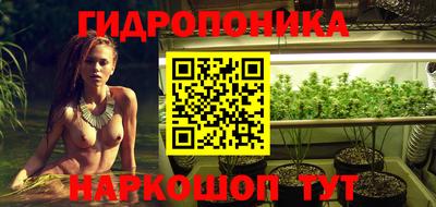 гидра Славгород