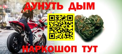 гидра Славгород