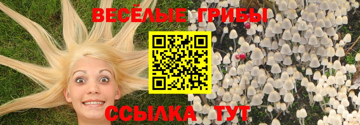 Галлюциногенные грибы ЛСД Петрозаводск