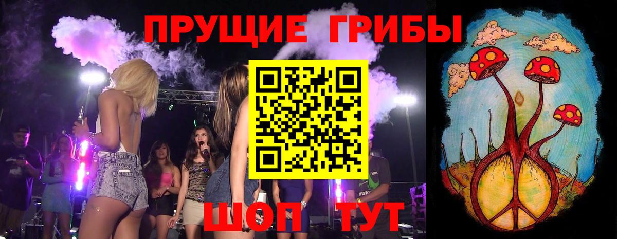 Петрозаводск  Псилоцибиновые грибы GOLDEN TEACHER  Галлюциногенные грибы Psilocybe  Вход с VPN 